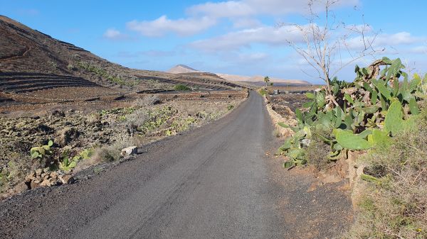typische Landschaft auf Lanzarote - © RoRadln - Kurt Schmidt