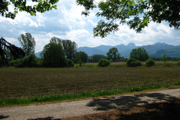 Blick auf Wendelstein bei Dettendorf - © RoRadln - Kurt Schmidt