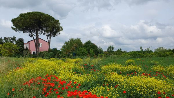 In der R&ouml;mischen Centuriazione Cesena - © RoRadln - Kurt Schmidt