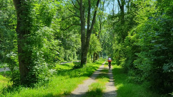 Zengermoos - Sch&ouml;ne Wege - © RoRadln - Kurt Schmidt