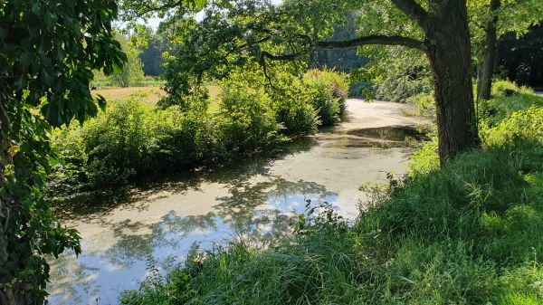 Naturschutzgebiet Haus Langen - © RoRadln - Kurt Schmidt