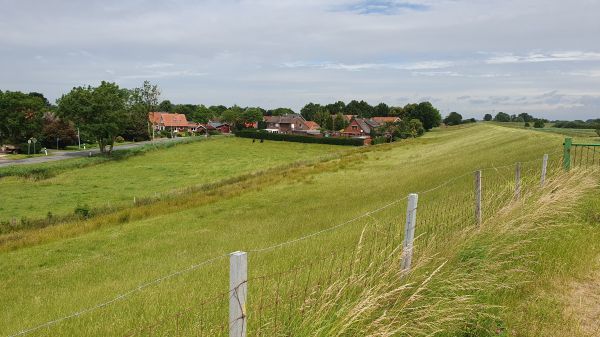 Auf dem Deich bei Middelstenborgum - © RoRadln - Kurt Schmidt