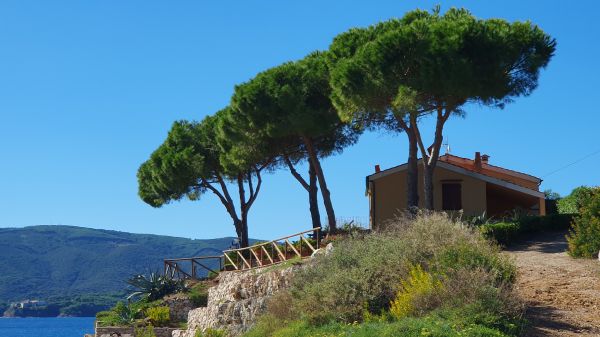 Elba - Spiaggia di Reale - © RoRadln - Kurt Schmidt