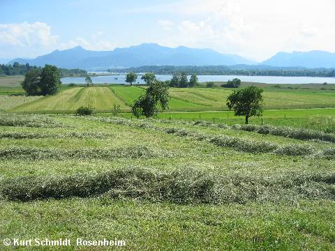 Am Bayerischen Meer - dem Chiemsee - © RoRadln - Kurt Schmidt