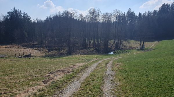 Urschlachquelle - Quellgebiet der S&ouml;chtenauer Ache - © RoRadln - Kurt Schmidt