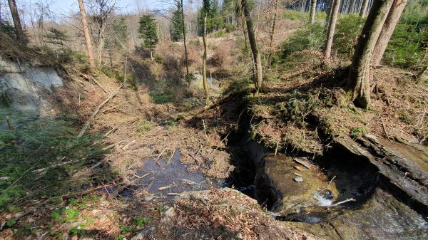 Gro&szlig;bach Unterlauf nach kleinem Wasserfall - © RoRadln - Kurt Schmidt