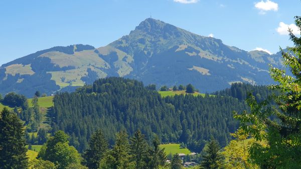 Blick auf Kitzb&uuml;heler Horn bei Astberg (Kitzb&uuml;hel) - © RoRadln - Kurt Schmidt