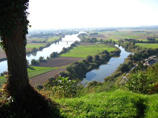 Blick von Bogenberg auf die Donau - © RoRadln - Kurt Schmidt