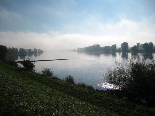 Fr&uuml;hnebel &uuml;ber der Donau - © RoRadln - Kurt Schmidt
