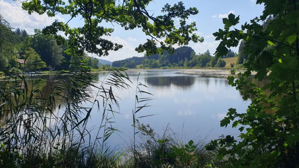 Hengelesweiher nahe Isny - © RoRadln - Kurt Schmidt
