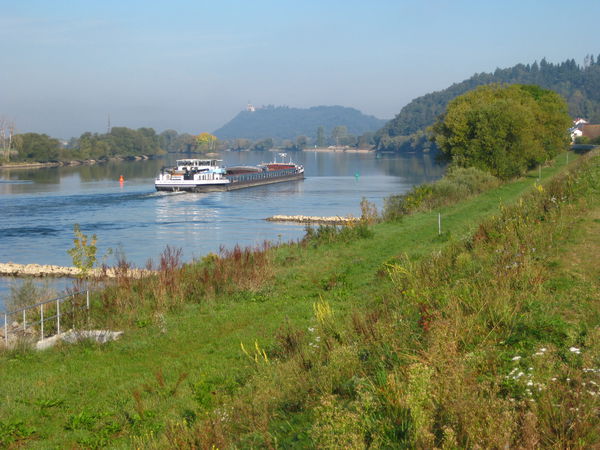 Blick zur&uuml;ck auf Bogenberg - © RoRadln - Kurt Schmidt
