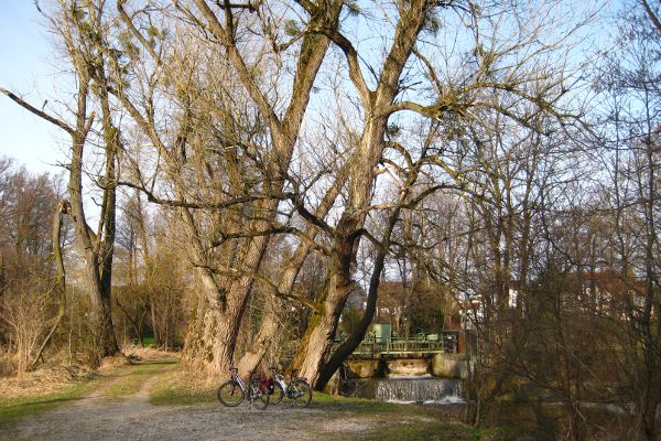An der Glonn bei Bad Aibling - © RoRadln - Kurt Schmidt