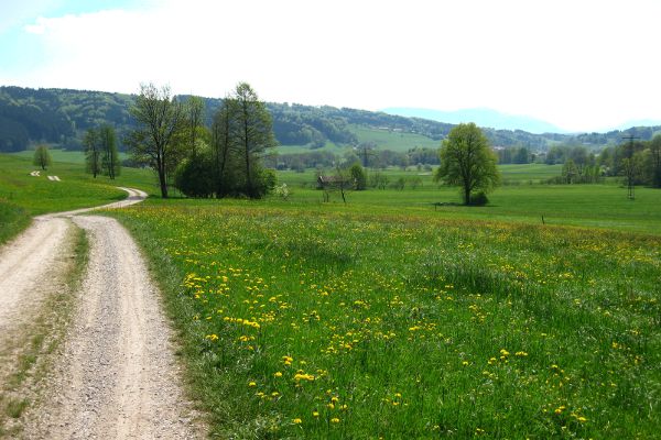 F&uuml;hlingswiesen im Antworter Moos - © RoRadln - Kurt Schmidt