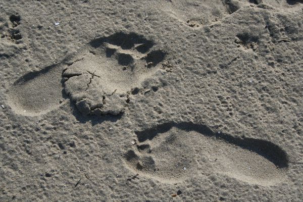 Spuren im Sand - © RoRadln - Kurt Schmidt