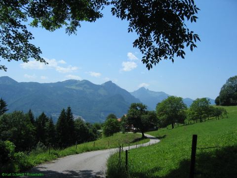 Auf dem Weg zu den Euzenauer Almen - © RoRadln - Kurt Schmidt