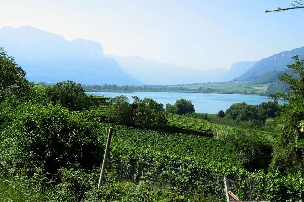 Blick auf Kalterer See - © RoRadln - Kurt Schmidt
