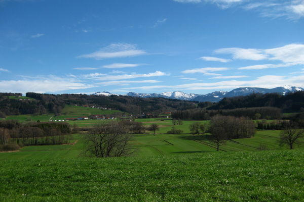 Antworter Moos - © RoRadln - Kurt Schmidt