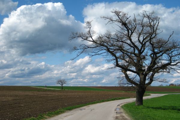 Wolken bei Aising - © RoRadln - Kurt Schmidt