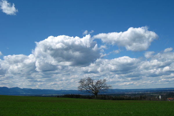 Blick bei Wolferkam Richtung Westen - © RoRadln - Kurt Schmidt