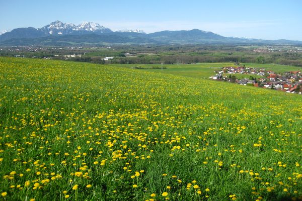 Talblick auf Anthering und Salzachtal - © RoRadln - Kurt Schmidt