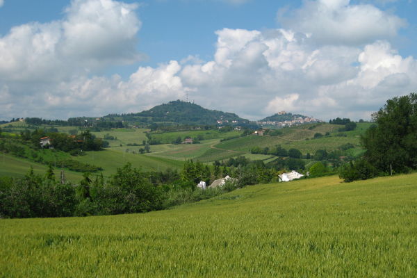 Blick auf Bertinoro - © RoRadln - Kurt Schmidt