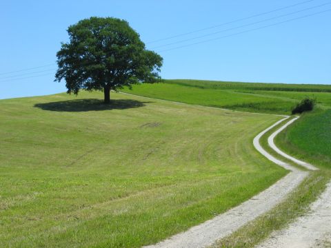 Wasserburger Land - © RoRadln - Kurt Schmidt