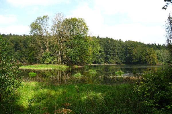Eggst&auml;tter Seenplatte - © RoRadln - Kurt Schmidt
