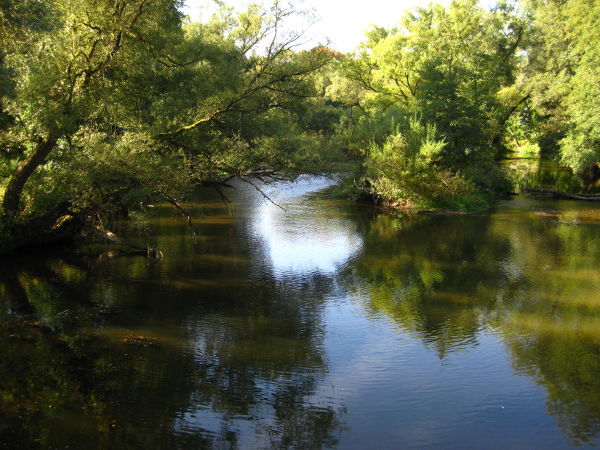 Main, kurz nach Zusammenfluss von Rotem und Wei&szlig;en Main - © RoRadln - Kurt Schmidt