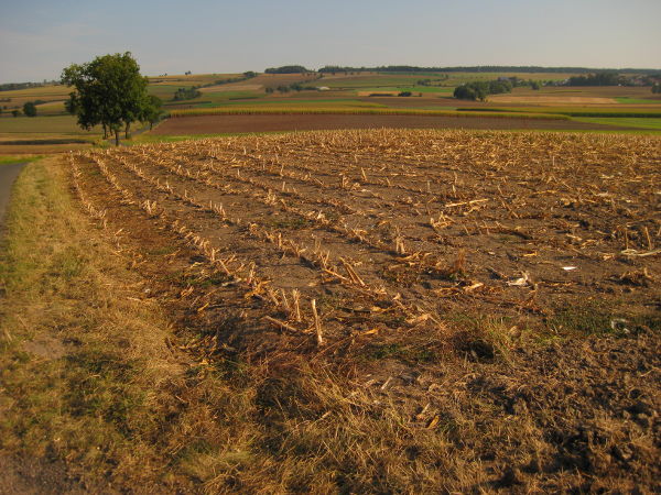 Land zwischen Coburg und Th&uuml;ringen - © RoRadln - Kurt Schmidt