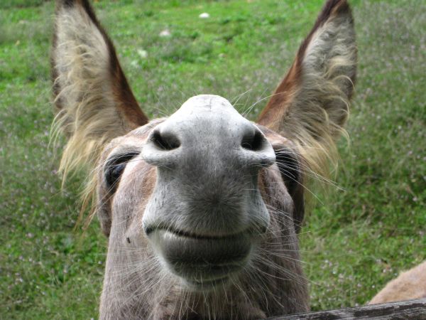 Hey Leute, darf ich euch was verraten? - © RoRadln - Kurt Schmidt