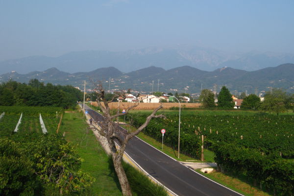 Landschaft im Grappa-Gebiet - © RoRadln - Kurt Schmidt
