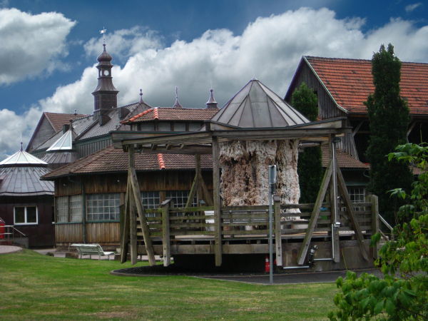 Bad Salzungen - Gradierwerk - © RoRadln - Kurt Schmidt