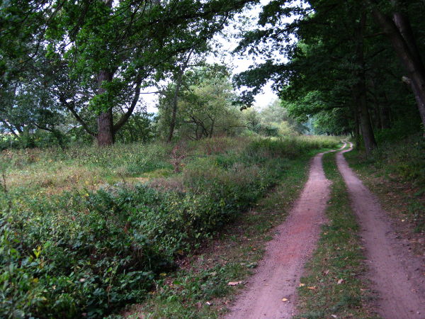 Werra-Radweg zwischen Bad Salzungen und Merkers - © RoRadln - Kurt Schmidt