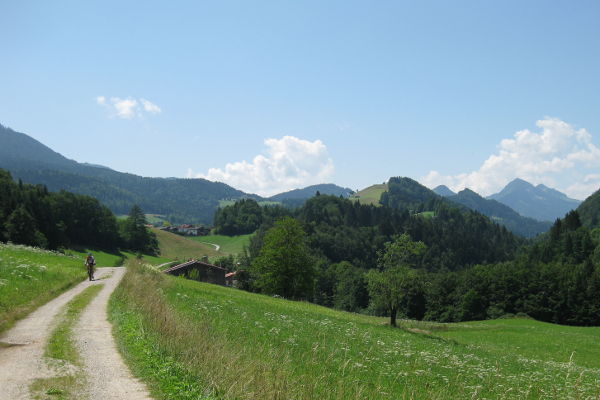 Zwischen Thiersee und Wachtl - © RoRadln - Kurt Schmidt