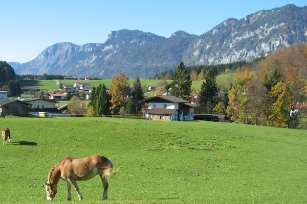 zwischen Schwoich und Bad H&auml;ring - © RoRadln - Kurt Schmidt