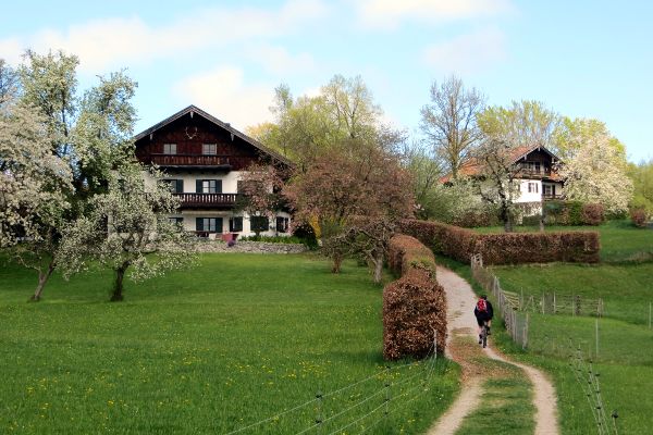 Wasserburg - hinauf zum Kirchwald - © RoRadln - Kurt Schmidt