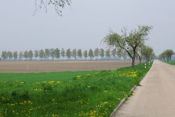Landschaft bei Herrlehof - © RoRadln - Kurt Schmidt