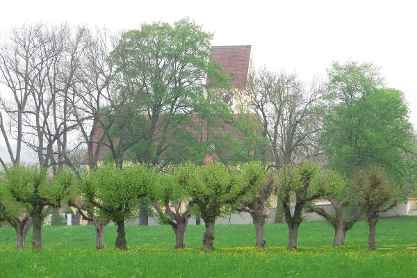 Bertoldsheim - © RoRadln - Kurt Schmidt