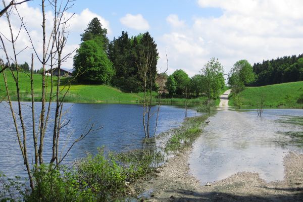&uuml;berfluteter Weg  am Bansee - © RoRadln - Kurt Schmidt