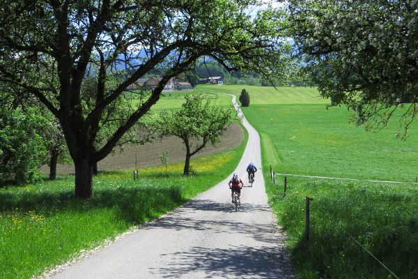 sch&ouml;ne Abfahrt bei Mupferting - © RoRadln - Kurt Schmidt