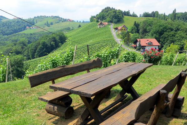 Blick vom Schererkogl - © RoRadln - Kurt Schmidt