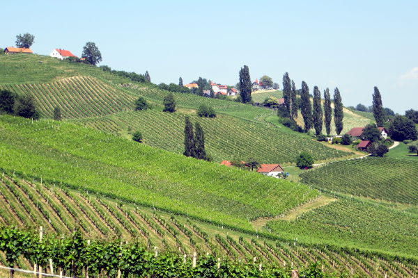 S&uuml;dsteirisches Weinland - © RoRadln - Kurt Schmidt