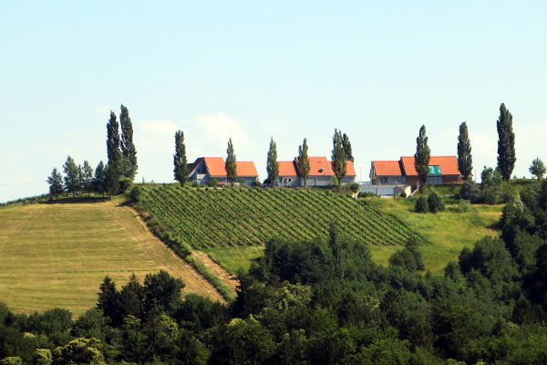 Gamlitzberg - © RoRadln - Kurt Schmidt