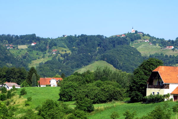 Slowenisches Weinland auf dem Weg nach Maribor - © RoRadln - Kurt Schmidt