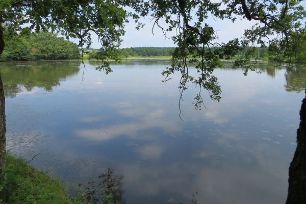 Weinburger Teich - © RoRadln - Kurt Schmidt