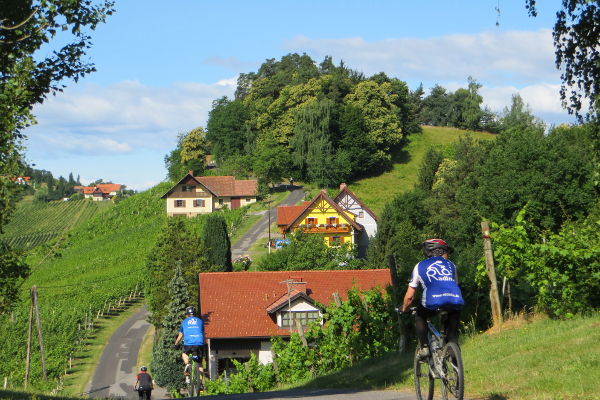 Am Schererkogl - © RoRadln - Kurt Schmidt