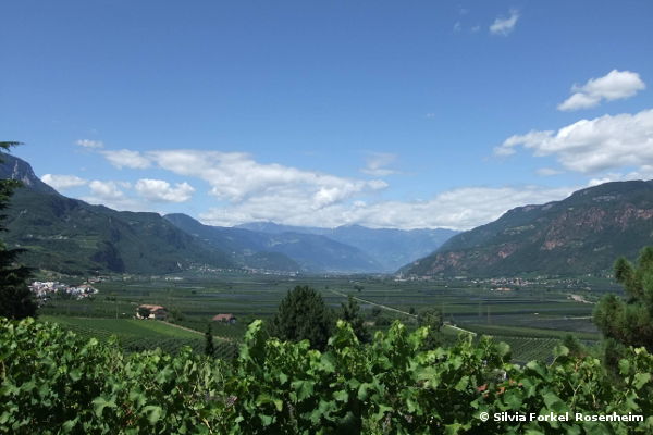 Blick ins Etschtal - © RoRadln - Silvia Forkel