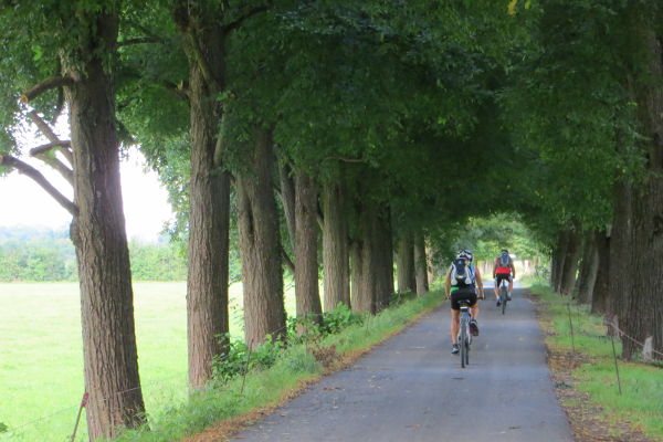 Allee bei Strass im Zillertal - © RoRadln - Kurt Schmidt