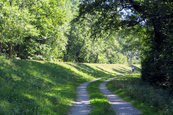 Isar-Radweg nahe der M&uuml;ndung in die Donau - © RoRadln - Kurt Schmidt