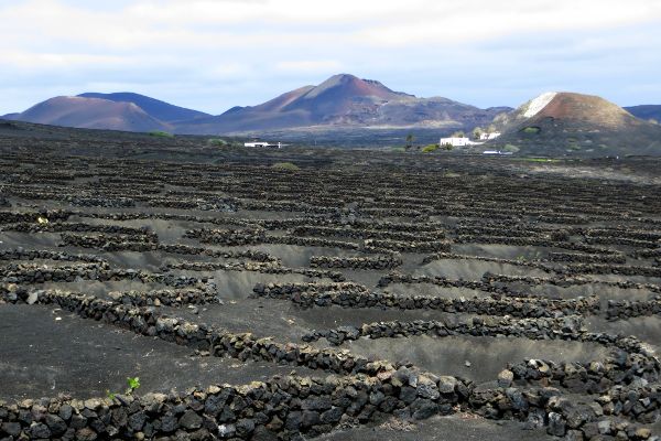 Weinbaugebiet La Geria, im Hintergrund Timanfaya - © RoRadln - Kurt Schmidt